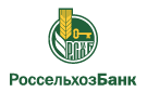Банк Россельхозбанк в Борках (Новгородская обл.)